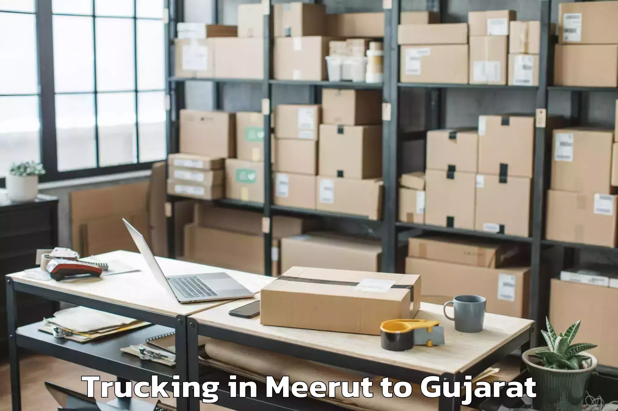 Book Meerut to Vansda Trucking Online